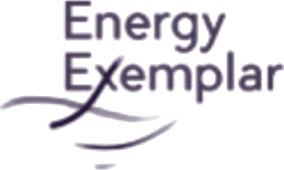 Energy Exemplar